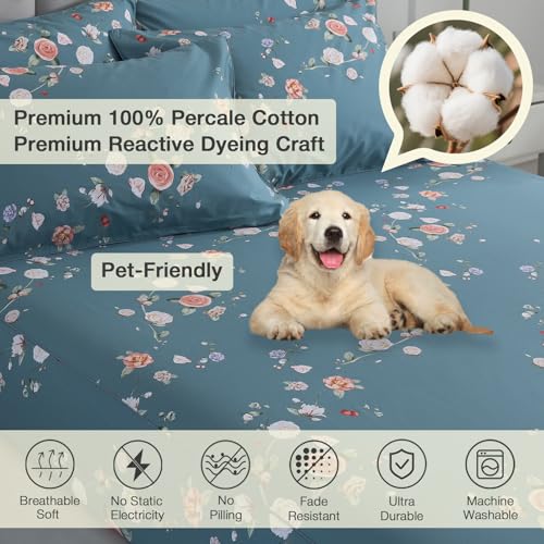 Image of Floral Percale Bed Sheets Queen Size Light Blue 4Pcs Set, Shabby Rose Patterned Chic Deep Pocket 100% Cotton Fitted Sheet Set, Soft Crisp Toile Bedsheets, Luxury Vintage Flower Bedding