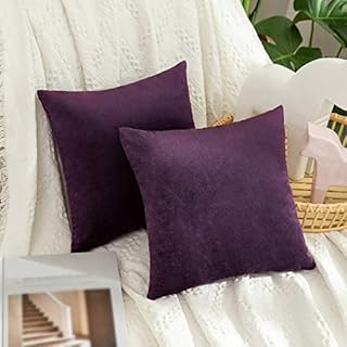 MIULEE Velvet Soft Decorative Square Throw Pillow Case Cushion Covers Pillowcases for Livingroom Sofa Bedroom with Invisible Zipper 12"x12" 2 Pieces Aubergine