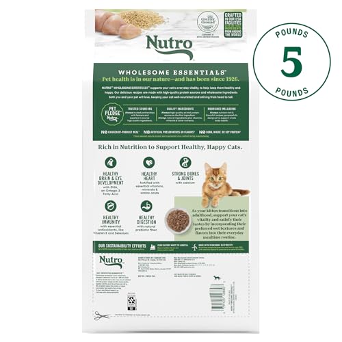 Image of Nutro Wholesome Essentials Natural Dry Cat Food, Dry Kitten Food Chicken & Brown Rice Kibble Formula, 5 lb. Bag (Pack of 3)