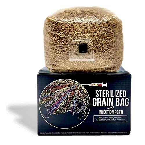 10 best grain spawn bags Hujaifa