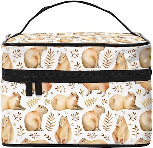 σ|[` fB[X Y |[` 킢 JsoRX|[` e 킢  RXobO lp [|[` ^ sp