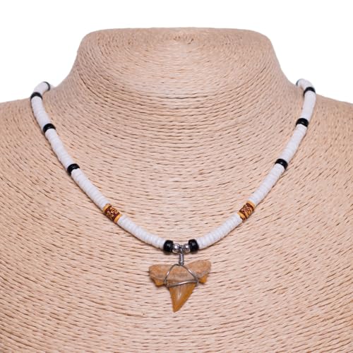 BlueRica Fossil Shark Tooth on Puka Shell Beads Necklace (18" 2S)3