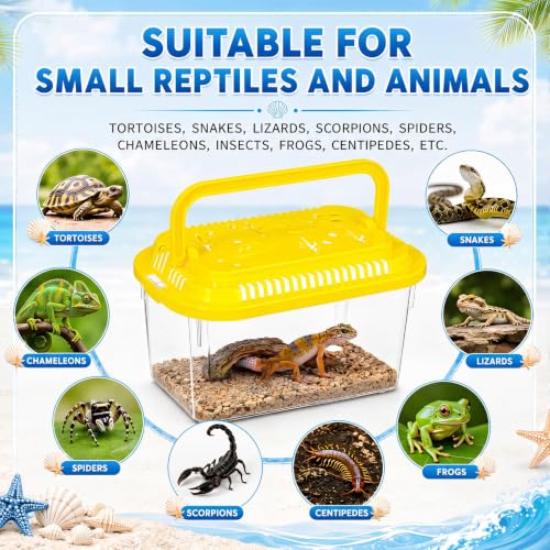 Image of LemonRoad 35 Pcs Plastic Reptile Terrariums Carrier Cage Enclosure Snake Breeding Box Hatching Container Fish Tank with Ventilated Lid for Tarantula Spider Turtle Lizard (Fresh,5.1x3.5x3.5 Inch)