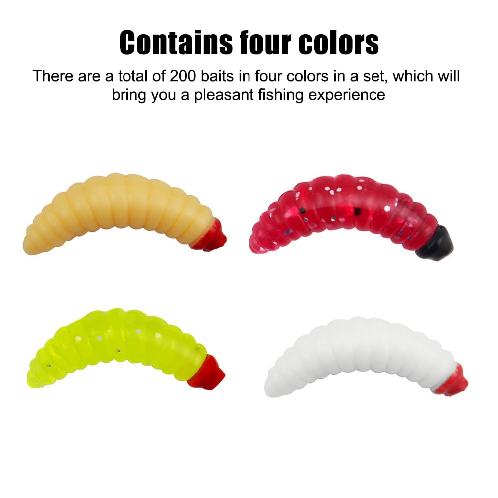 Maggot baits　色紙 Maggot baits 色紙 【公式通販】