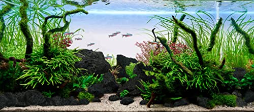 Image of LANDEN Black Lava Stones (16lbs,3~10inch,11pcs) for Aquascaping Terrariums, Paludarium, Vivariums, Reptile and Amphibian Enclosures