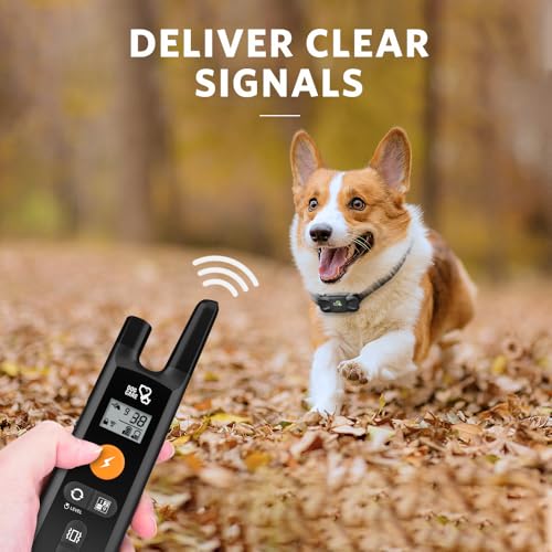 Image of DOG CARE Shock Collar for Dogs - Dog Training Collar with Remote, 3 Training Modes, Rainproof, Security Lock, Long Remote Range, Rechargeable E-Collar for Small Medium Large Dogs All Breeds