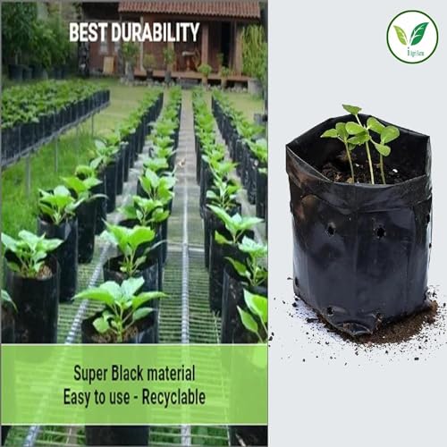 Image of IAgriFarm UV Protected Poly Grow Bag /Nursery Plant Bags, 5x8 inch,250 Qty,Black,