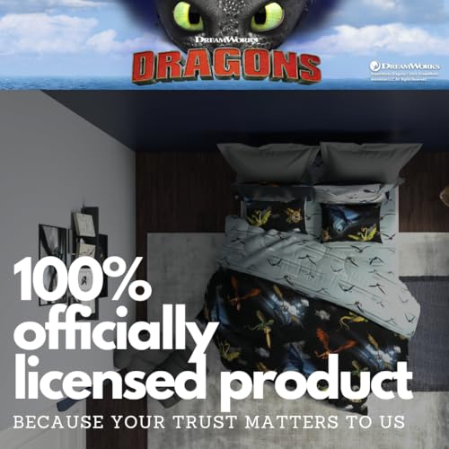 image for Franco How to Train Your Dragon Kids Bedding Super Soft & Cozy Reversi