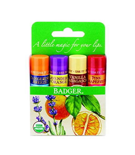 Badger Organic Lip Balm 4 Sticks Gift Set green Pack by grafton International, 2.4 Oz