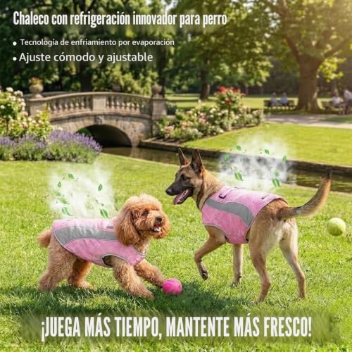 Chaleco de hielo seguro para perros activos en excursiones de verano 6