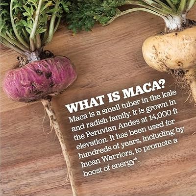 Maca Magic Made with Organic Gelatinized Maca Powder Capsules (200 ct)