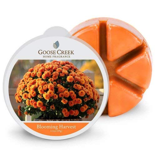 Preisvergleich Produktbild Goose Creek Candle Blooming Harvest 59g