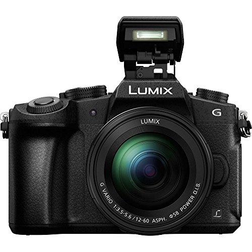 Panasonic Lumix Dmc-G85 Mirrorless Micro Four Thirds Digital Camera W/Panasonic 12-60Mm Lens & 650-1300Mm (1300-2600Mm W/ 2X Converter) Telephoto Lens + 64Gb Memory Card, Backpack, Flash & More #TOP1