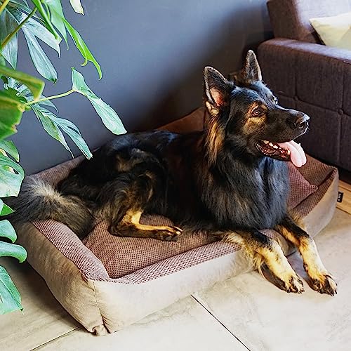 4L Textil Teo Kuscheliges Hundebett Bezug abnehmbar und waschbar Hundekorb mittelgroße Hunde Hundekissen flauschig Hundekörbchen Hundesofa (80x60 cm, Braun)