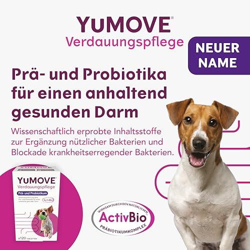 YuMOVE Probiotika Hund Tabletten - 120 Stück - Mit 200 Mio Guten Bakterien Enterococcus faecium & ActivBio Prebiotika MOS scFOS Beta-Glucane - Hund Darmflora Aufbauen & Natürliche Verdauungsbalance