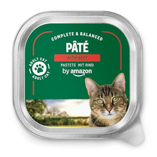 by Amazon Alimento para gatos, paté con ternera, 100 g, paquete de 16 unidades (anteriormente Lifelong !)