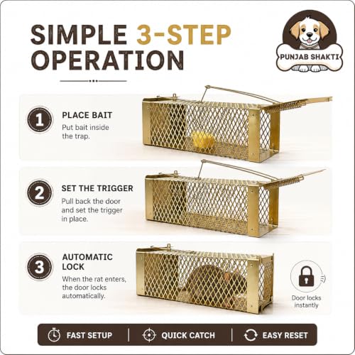 Image of Heavy Duty Rat Catcher Trap - Humane & Reusable Mouse Trap for Home, Office & Warehouse - Easy to Set, Strong & Reliable Rodent Control (Small)