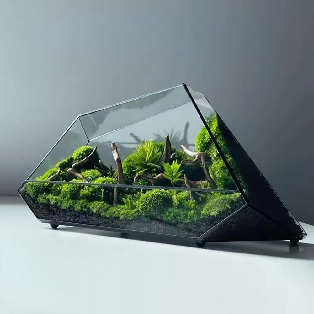 Terrario De Vidrio para Suculentas, Air S Interior Greenhouse Terrario De Vidrio como Decoración, Terrario Geométrico Moderno para Jardín En Miniatura, Hogar, Oficina, Decoración Superior