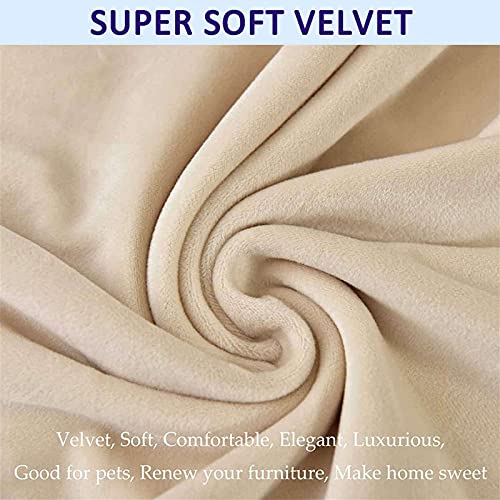 Jhld Dining Chair Covers, Velvet Chair Slipcover Stretch Chair Protector Chair Covers For Dining Room Chair Seat Covers Machine Washable For Living Room Bedroom-Beige-Set Of 4 #TOP2