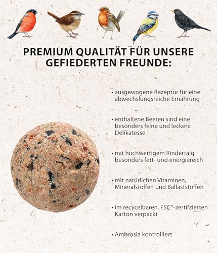 Dehner Natura Premium Meisenknödel mit Netz, Beerenknödel, ganzjähriges Wildvogelfutter proteinreich / energiereich, 30 Stück je 90 g (2.7 kg), Karton aus FSC-zertifizierter Produktion