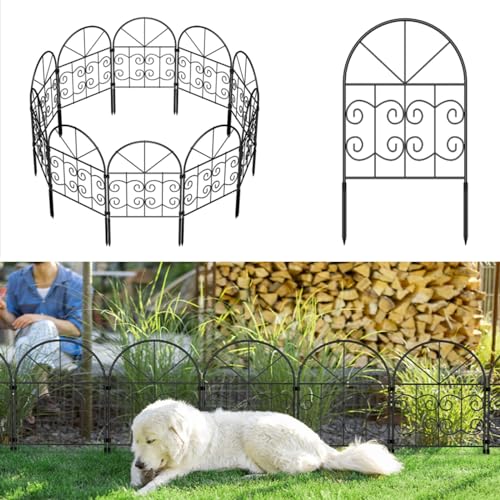How many c sections can a dog have