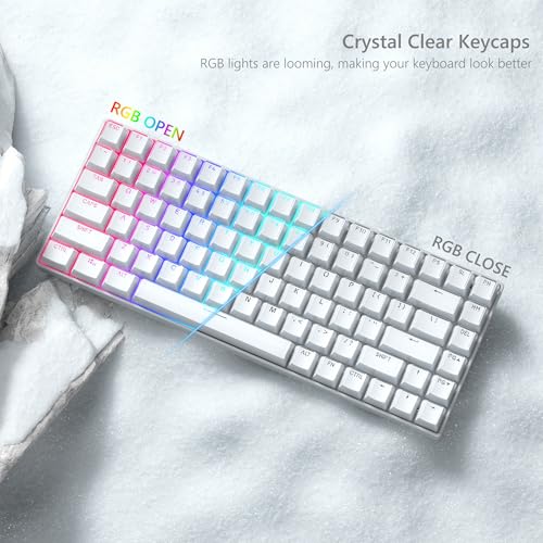 Image of Womier Keycaps, Lusterfly Jelly Keycaps White Crystal Shine Through Keycap | Custom Key caps Set 60 75 100 Percent,118 Keys OEM Profile for 61 /68 /84 /87 /98 /100 Cherry Gateron MX Mechanical, Backlit White