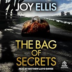 Couverture de The Bag of Secrets