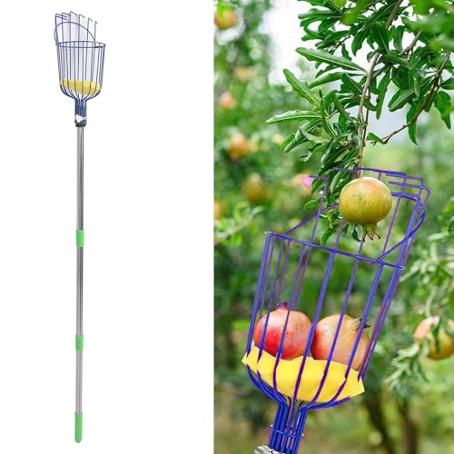 Yuecoom Fruit Picker Tool, with Basket, Telescoping Adjustable Handle, Lightweight Stainless Steel Fruit Picker for Apples, Oranges, Mangoes, Avocados, Pears Tree Picker