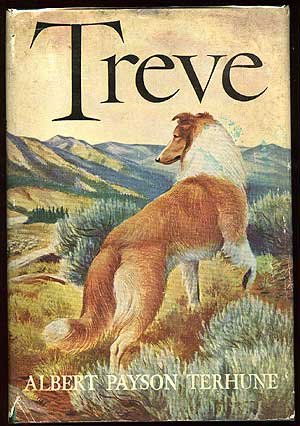 Treve B0016FUCIS Book Cover