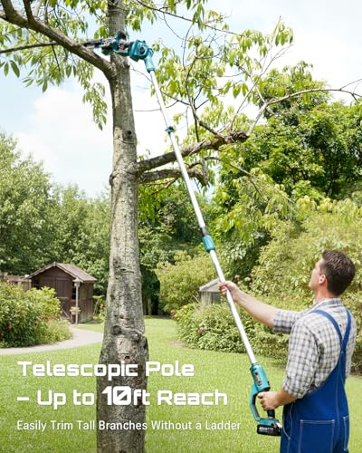 SEESII 10-Inch Cordless Pole Saw