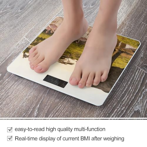 Báscula Digital de Baño con Pantalla LED Clara y Plataforma de Vidrio Templado miniatura 5