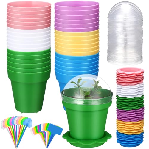 Petits pots de fleurs colorés de balcon : lot de 36 avec coupelles pour intérieur - 2
