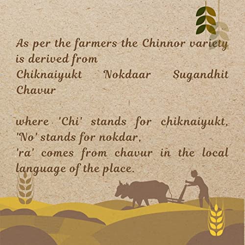 Image of APKA KISAN | GI Tagged Chinnor Rice | 400 gm | Unpolished | Natural Aroma | Chemical & Pesticide Free | Organic | Farmers of Balaghat, Madhya Pradesh