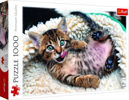 Trefl 916 10448 EA 1000pcs Kitten, Coloured