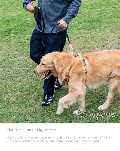 LeileiPaws Tauleine Hund – Nylon Hundeleine für kleine, mittelgroße & große Hunde – hundeleine leicht mit Schlaufe für kleinere Hunde, robuste Hundeleine große Hunde(Khaki, 2m x 0.8cm)