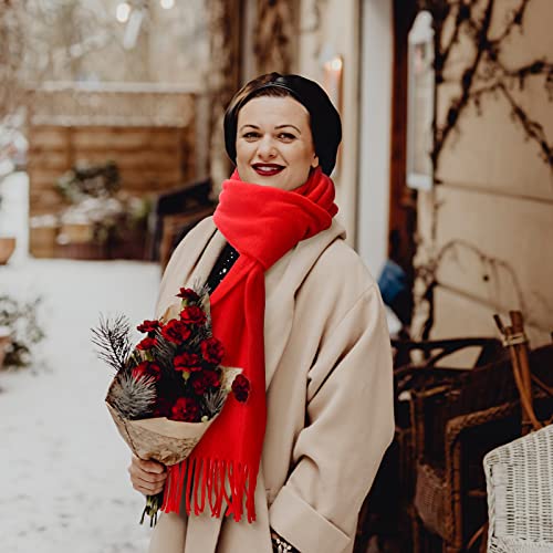 24 Pack Winter Scarves Solid Soft Warm Scarf with Fringe Men Women Cold Weather Scarves Wraps Warm Winter Scarf Bulk4