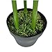 vidaXL Árbol de Bambú Artificial Macetero 120 cm Verde Maceta Planta Plástico