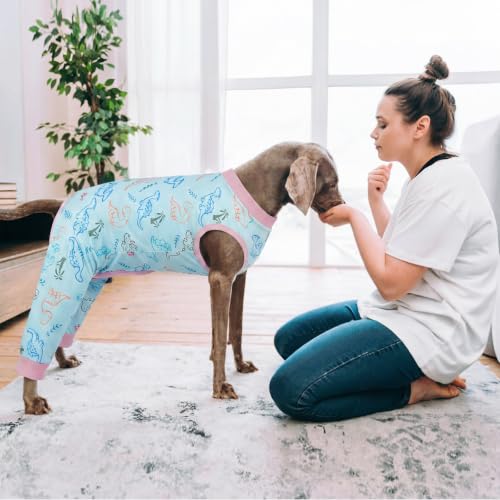 Image of Kuoser Dog Recovery Suit with Anti Licking Rear Leg Sleeve, Dinosaur M | Abdominal Dog Surgical Suit with Pants Cover Protect Wounds, Dogs Elbow Protector Soft Pet Surgery Onesie Cone Alternative