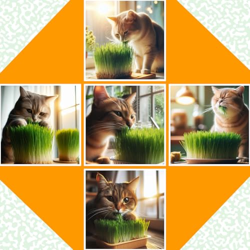 Image of Catgrass Growing Kit for Indoor & Outdoor Cats| Cat Grass Growing Kit with 4-Cocopeat Discs|3-Packets Of Chemical Free Wheat Grass Seeds| 1-Grass Planter| Easy To Grow