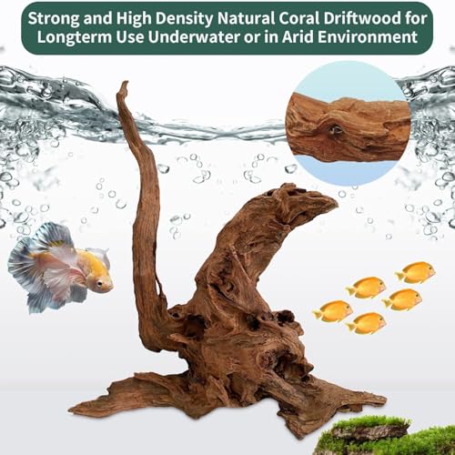 Image of Hamiledyi 3 Pcs Natural Driftwood for Aquarium 7-12 Inch Driftwood Branches Bearded Dragon Accessories Reptiles Aquarium Decoration Assorted Size Natural Habitat Decor Wood for Lizad