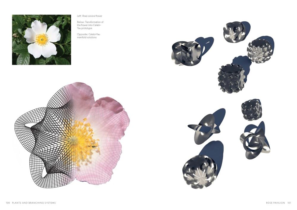 Biomorphic Structures: Architecture Inspired by Nature