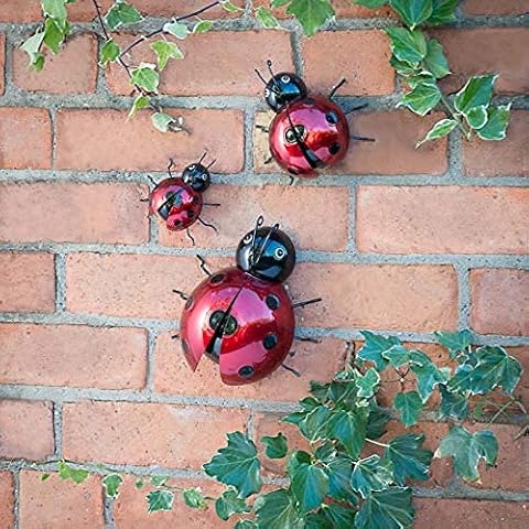 Stunning Decorative Feature Metal Lady Bird Wall Art Outdoor Garden Ornament - Lady Bird Pack of 3 Cover
