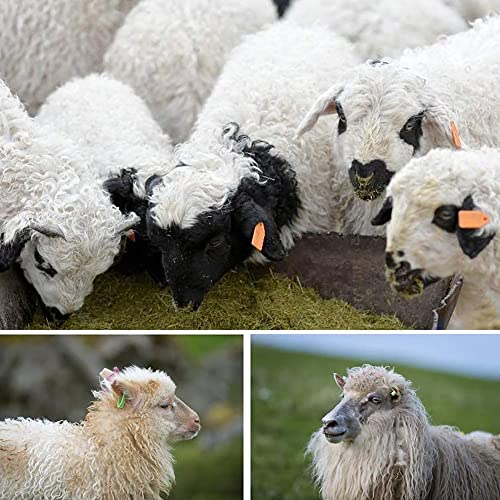 Foto von Ohrmarkenzange, Rinder-Ohrmarken-Installationswerkzeug, 90-Grad-Ohrmarken-Applikator Tier-Ohrmarken-Installationswerkzeug Für Nutztiere, Schweine, Schafe, Ziegen, Rinder, Kühe,Rot (Rot)
