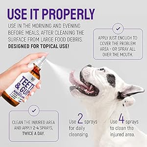 Teeth-Gum-Spray-for-Dogs-and-Cats--Dental-Formula-for-Dog-Mouth-Rinse-Cat-Mouth-Care--Cat-Dog-Fresh-Breath-Clean-Teeth-No-Pain-Or-Burning--Dog-Plaque-and-Tartar-Remover-4-Oz - Cucciolini Doodles   Teeth-Gum-Spray-for-Dogs-and-Cats--Dental-Formula-for-Dog-Mouth-Rinse-Cat-Mouth-Care--Cat-Dog-Fresh-Breath-Clean-Teeth-No-Pain-Or-Burning--Dog-Plaque-and-Tartar-Remover-4-Oz