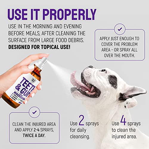 Teeth-Gum-Spray-for-Dogs-and-Cats--Dental-Formula-for-Dog-Mouth-Rinse-Cat-Mouth-Care--Cat-Dog-Fresh-Breath-Clean-Teeth-No-Pain-Or-Burning--Dog-Plaque-and-Tartar-Remover-4-Oz - Cucciolini Doodles   Teeth-Gum-Spray-for-Dogs-and-Cats--Dental-Formula-for-Dog-Mouth-Rinse-Cat-Mouth-Care--Cat-Dog-Fresh-Breath-Clean-Teeth-No-Pain-Or-Burning--Dog-Plaque-and-Tartar-Remover-4-Oz