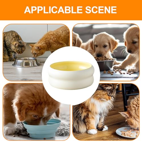 Gamelles en céramique pour chien et chat compatibles micro-ondes - 5