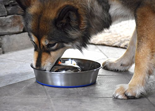 OurPets DuraPet Slow Feed Premium Stainless Steel Dog Bowl, Medium