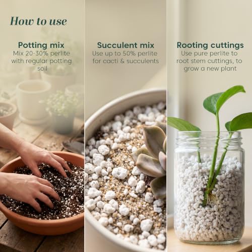 Image of Kyari Perlite 250g for Plants Horticulture soil for Drainage & Aeration