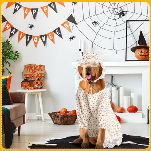 3-teiliges Kostüm für alte Dame für Hunde, Oma, Hundekostüme und Hut, lustige Retro-Sonnenbrille für Halloween, Hundeparty, Cosplay (5 XL)