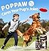POPPAW Joint Supplement for Dogs - 10 in 1 Hip and Joint Supplement Drops with Hyaluronic Acid, Liquid Glucosamine for Dogs with Chondroitin, MSM & Omega 3-2 FL.Oz - for All Breeds & Sizes